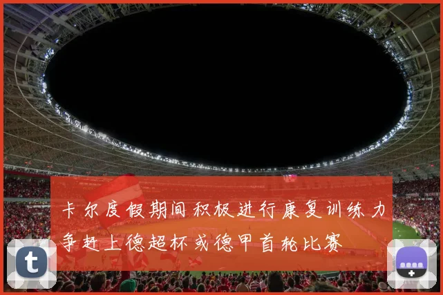 卡尔度假期间积极进行康复训练力争赶上德超杯或德甲首轮比赛