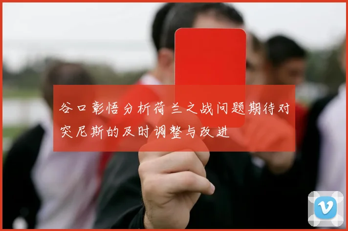 谷口彰悟分析荷兰之战问题期待对突尼斯的及时调整与改进